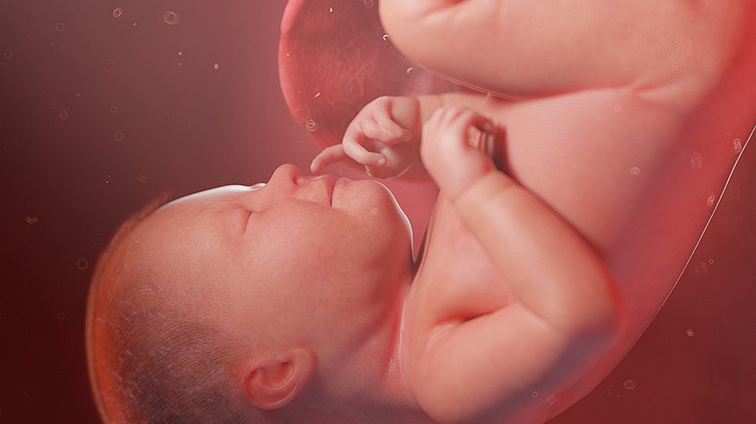Околоплодные воды: полное руководство по их роли и значению при беременности