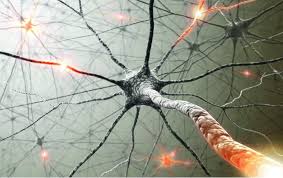 Острый рассеянный энцефаломиелит у детей: полное руководство для родителей