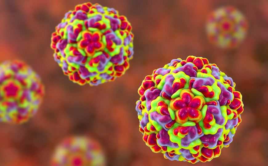 Риновирусная инфекция: полное руководство по симптомам, лечению и профилактике