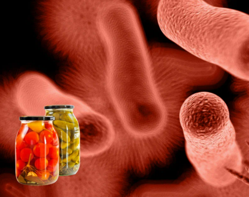 Ботулизм: полное руководство по симптомам, лечению и профилактике заболевания