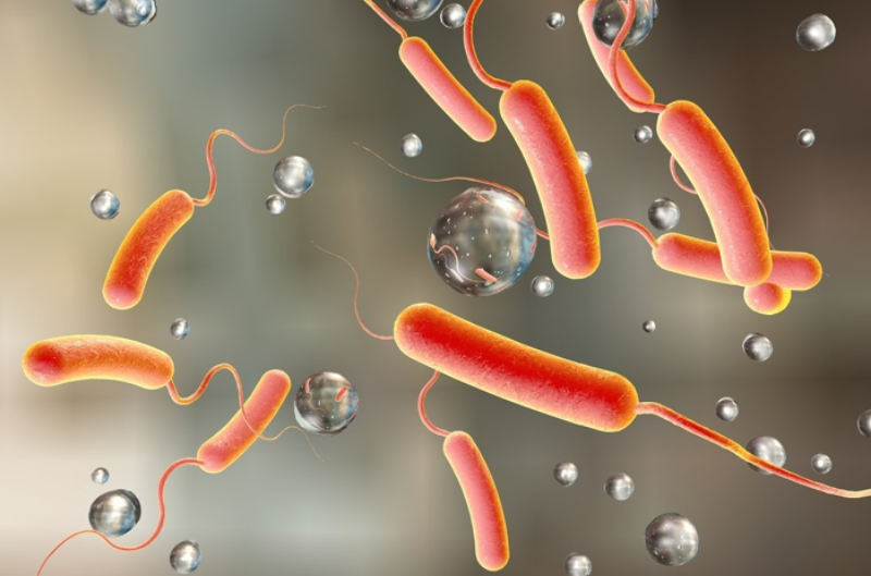 Холера: полное руководство по заболеванию, лечению и профилактике