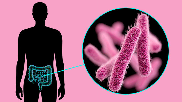 Дизентерия (шигеллез): полное руководство по симптомам, лечению и защите