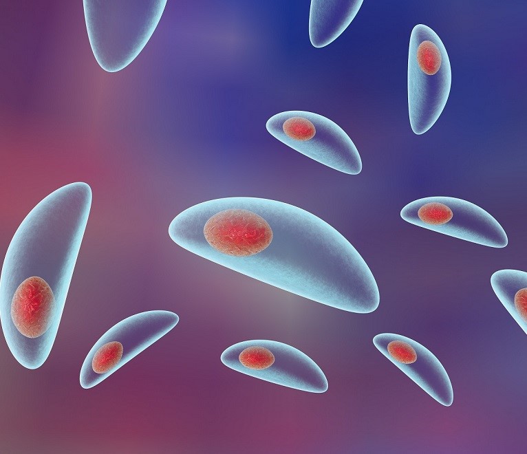 Токсоплазмоз: полное руководство по заболеванию, его лечению и профилактике