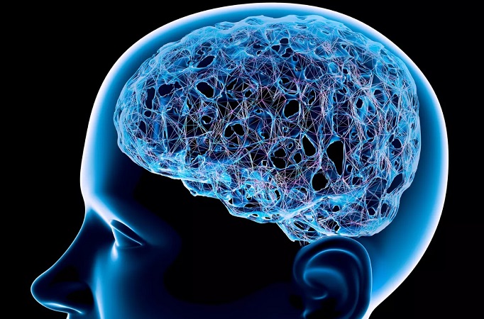 Болезнь Крейтцфельдта-Якоба: полное руководство по причинам и прогнозу