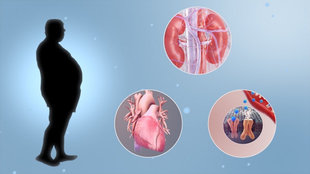 Метаболический синдром: как защитить сердце и сосуды от комплексной угрозы