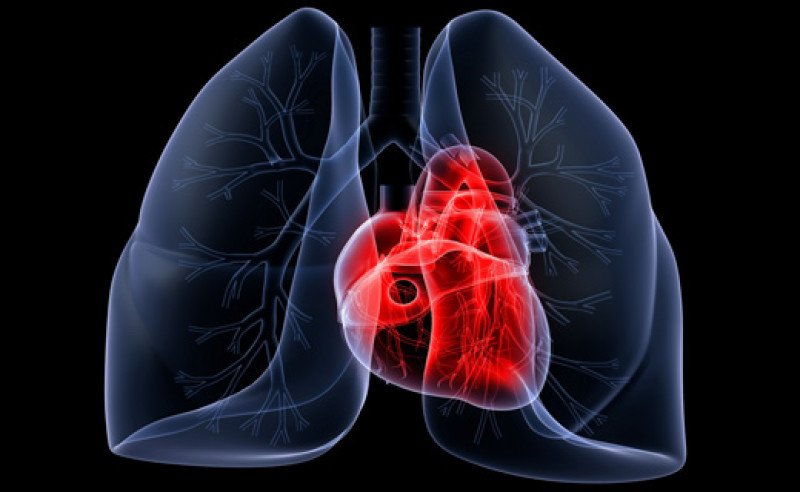 Легочное сердце: понять причины, распознать симптомы и начать лечение