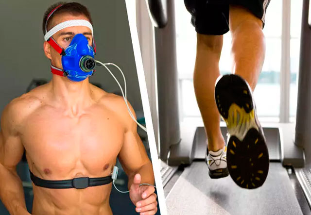 Спортивное сердце: как отличить здоровую адаптацию от опасной патологии