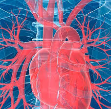Реконструкция левого желудочка сердца: полное руководство по операции