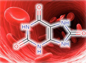Оценка здоровья почек через анализ на мочевину: полное руководство для пациента