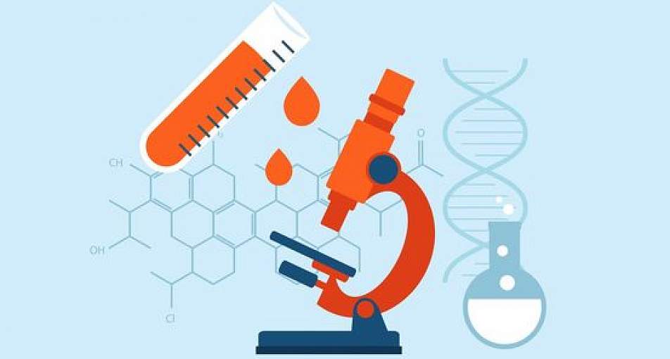 Анализ на общий белок и альбумин: полное руководство по показателям