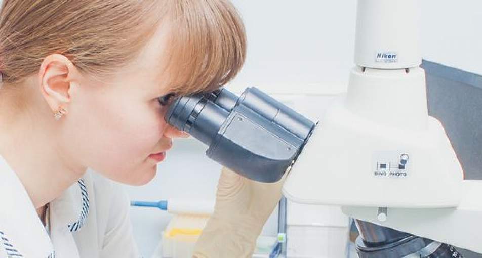 Анализ крови на трансферрин: полная расшифровка для оценки обмена железа