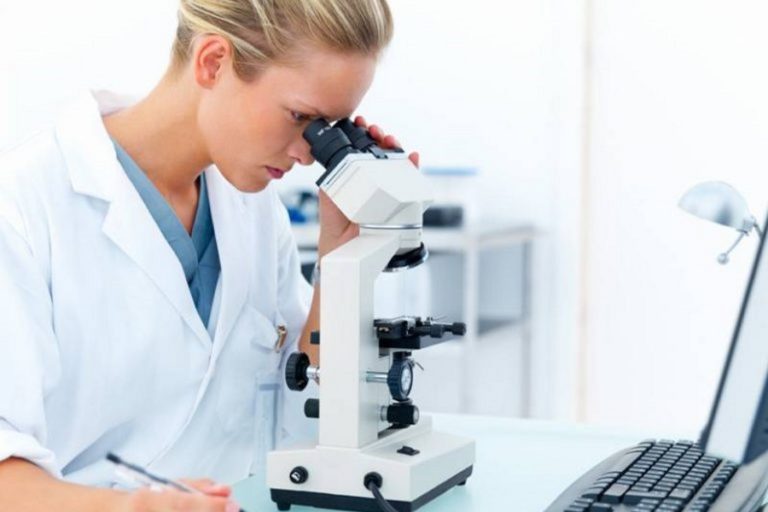 Анализ на сывороточное железо: полный гид по показателю и его нормам