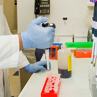 Анализ на лютеинизирующий гормон (ЛГ): полное руководство по диагностике