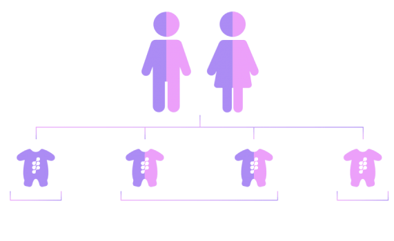 Аутосомно-рецессивное наследование: полное руководство для планирования семьи
