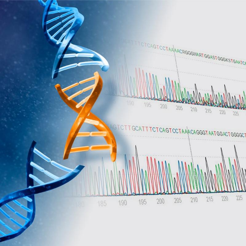 Анализ фрагментов ДНК: полное руководство по генетическому исследованию