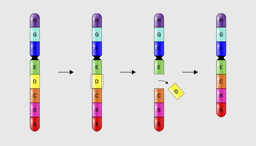 Количественные аномалии хромосом: полное руководство для будущих родителей