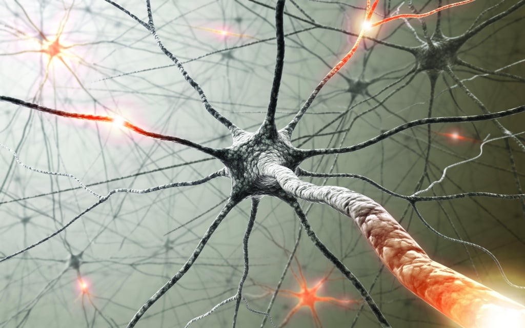 Острый рассеянный энцефаломиелит: полное руководство по диагностике и лечению