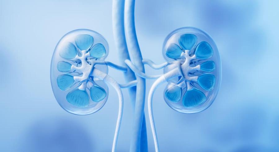 Болезнь тонких базальных мембран: полное руководство по диагностике и жизни