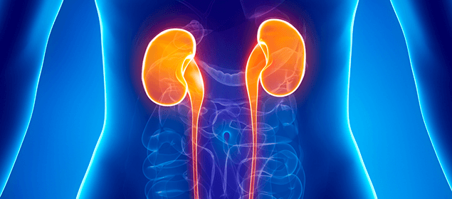 Восстановление минерального баланса при болезнях почек для здоровых костей