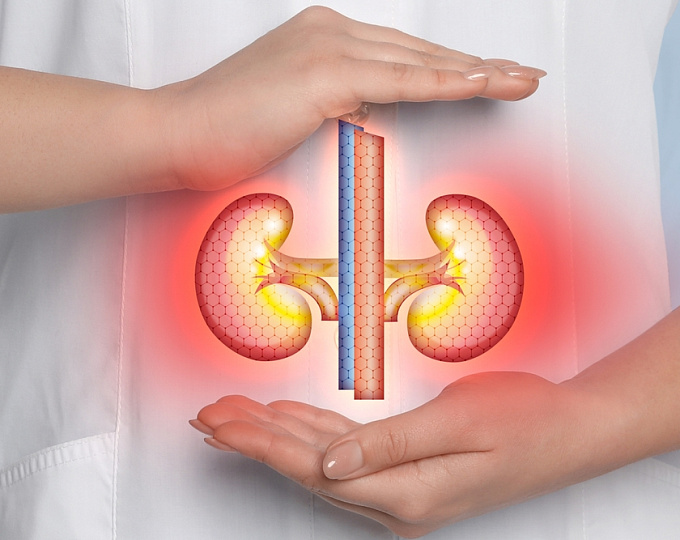 Склеродермический почечный криз: полное руководство по спасению почек