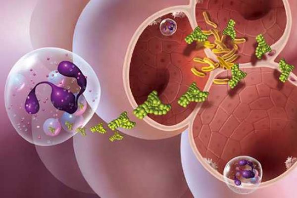 Дефицит альфа-1-антитрипсина: полный гид по редкой генетической патологии легких
