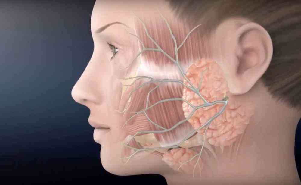 Лучевая терапия рака слюнных желез: полное руководство по методу и его применению