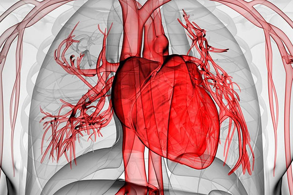 Хроническая ревматическая болезнь сердца (ХРБС): причины, симптомы, диагностика, лечение