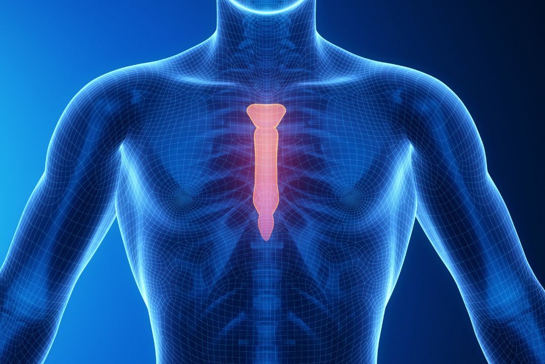 Синдром титце: полное руководство по причинам, симптомам, диагностике и лечению